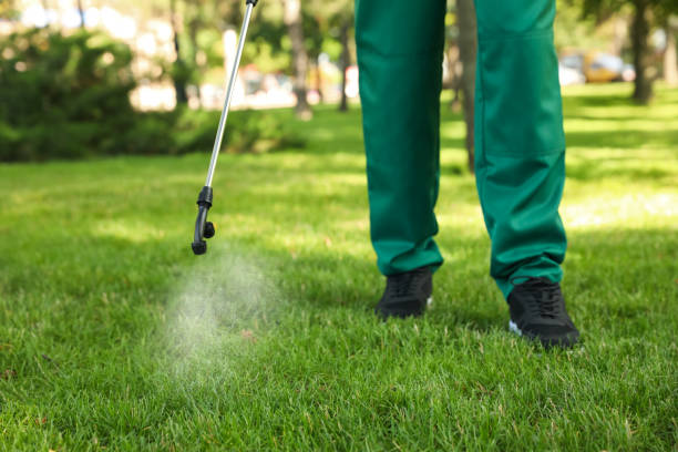 Professional Pest Control in Springfield, SD
