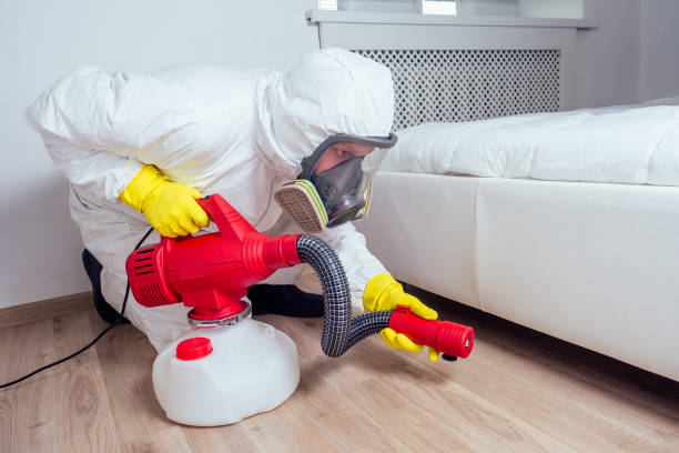 Best Rat Extermination Near Me  in Springfield, SD