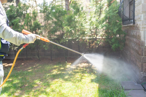 Best Pest Control Near Me in Springfield, SD