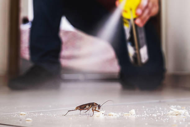  Springfield, SD Pest Control Pros
