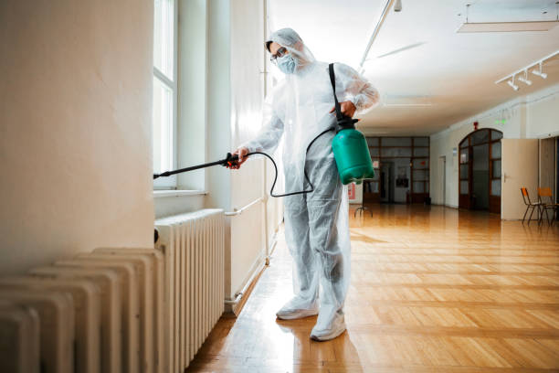 Best Flea Control Services  in Springfield, SD
