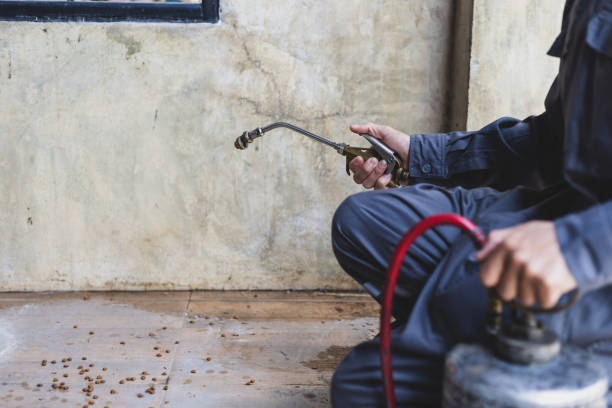 Best Best Pest Control Companies  in Springfield, SD